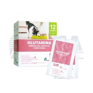 Glutamina en sobres