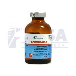 Enrocam-5
