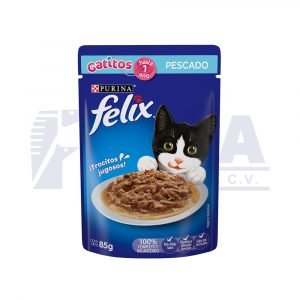 Felix Sobre Gatitos Pescado