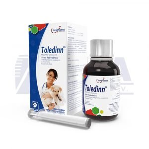 Toledinn