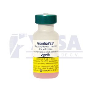 GiardiaVax