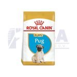 Pug Cachorro