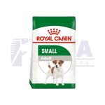 Adult Small Dog