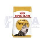 Gato Persa Adulto