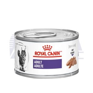 Lata Adult Feline