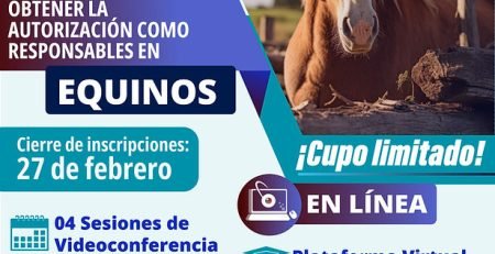 MVRA equinos