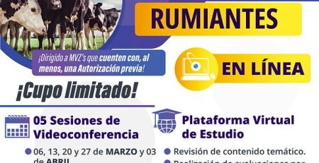 MVRA rumiantes