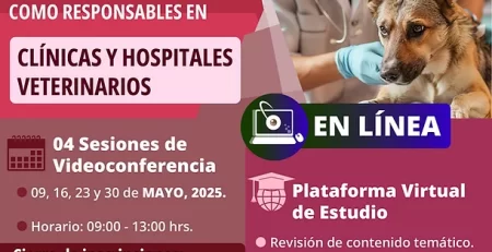 MVRA CLÍNICAS Y HOSPITALES VETERINARIOS