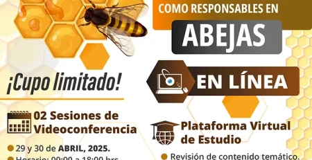 MVRA ABEJAS