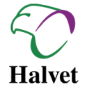 Halvet